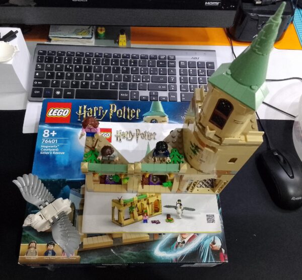 Hogwarts Courtyard: Sirius's Rescue