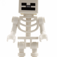 Skeleton, Minecraft