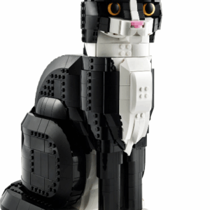 Tuxedo Cat