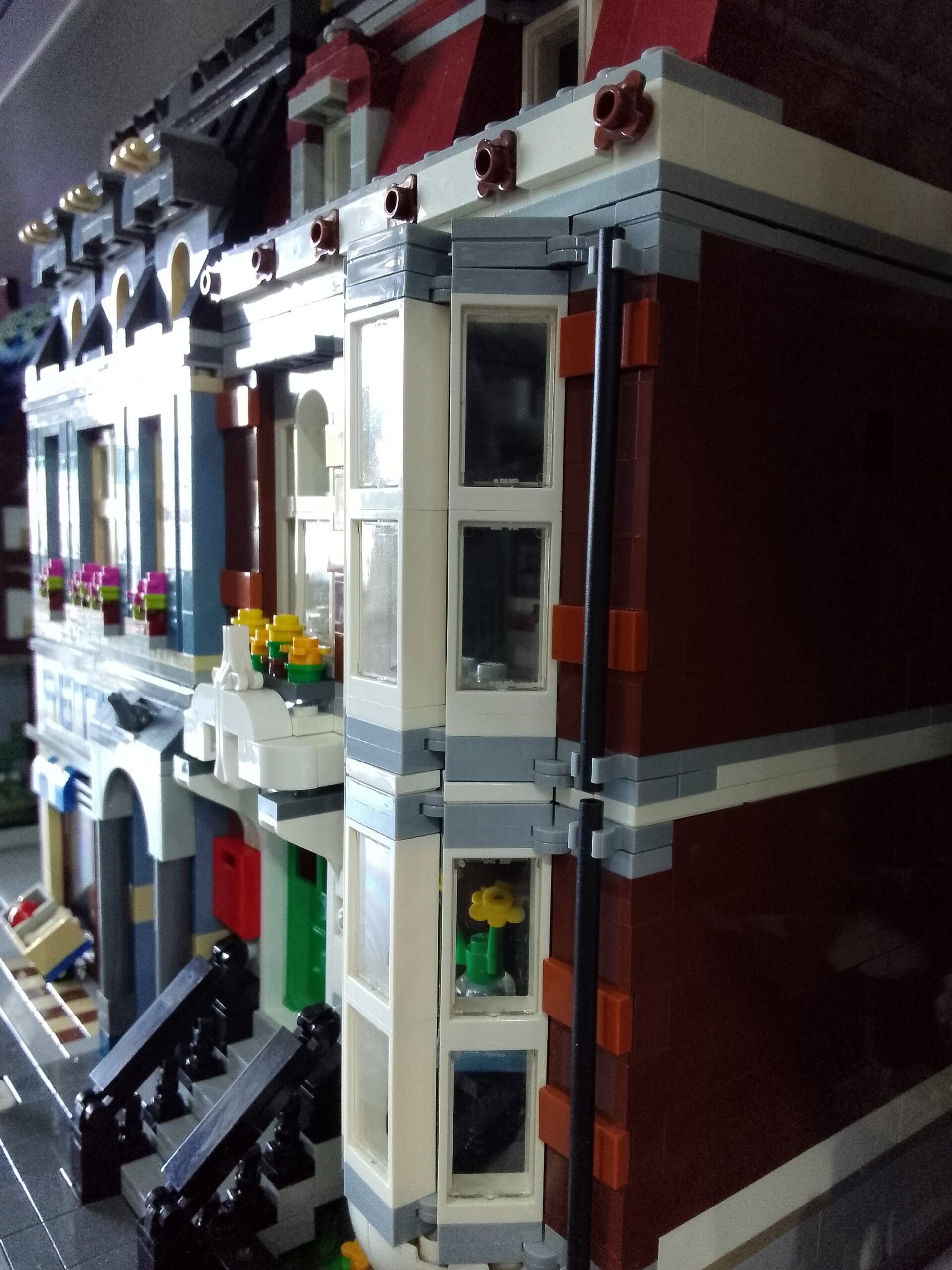 Pet Shop - immagine 2