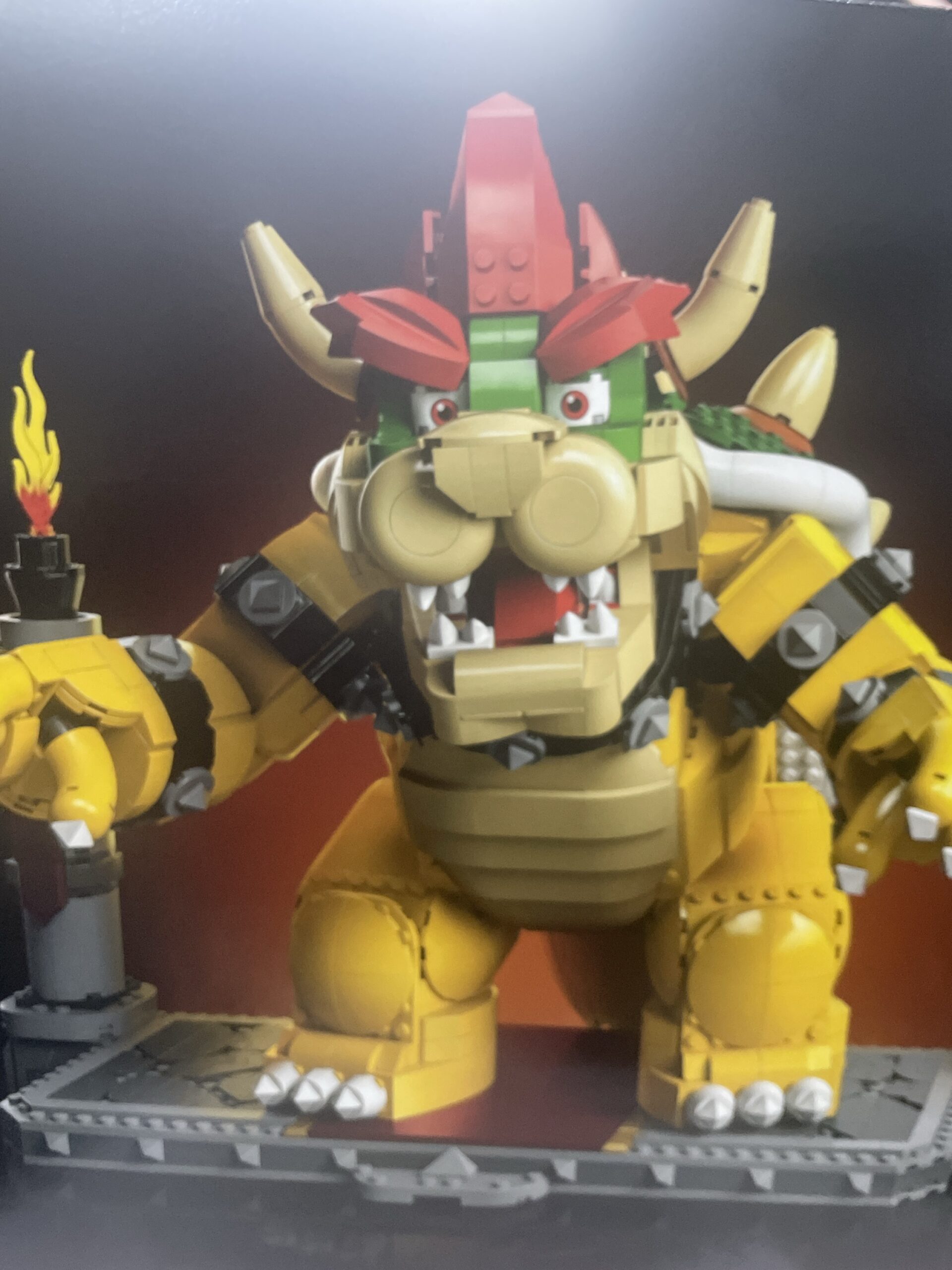 The Mighty Bowser - immagine 2