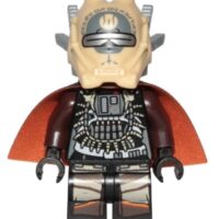 sw0940 - Enfys Nest